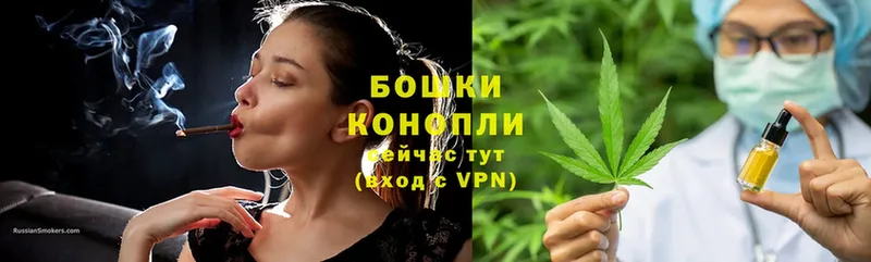 Бошки Шишки THC 21%  купить наркотики сайты  Соликамск 